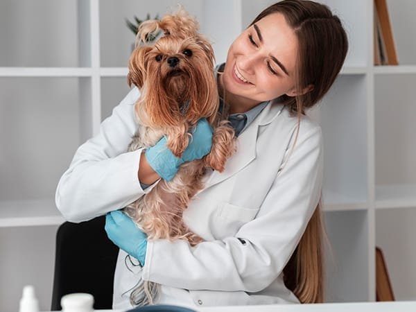 Veterinario en Parla
