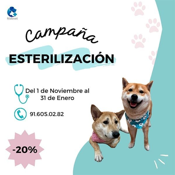 campana esterilizacion